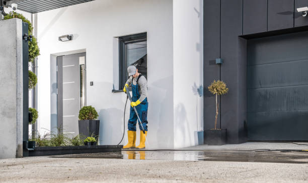 Best Roof Washing  in Bort, GA